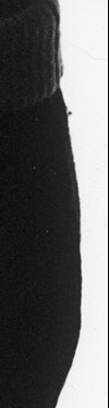 Rétrospective Ingmar Bergman à l'Institut Lumière